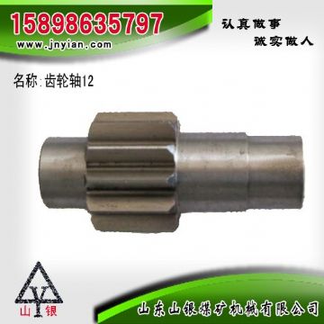 點(diǎn)擊查看詳細(xì)信息<br>標(biāo)題：齒輪軸12 江陰系列配件 閱讀次數(shù)：2207