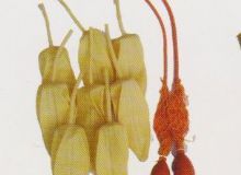 點擊查看詳細(xì)信息<br>標(biāo)題：取氣樣球膽 閱讀次數(shù)：165